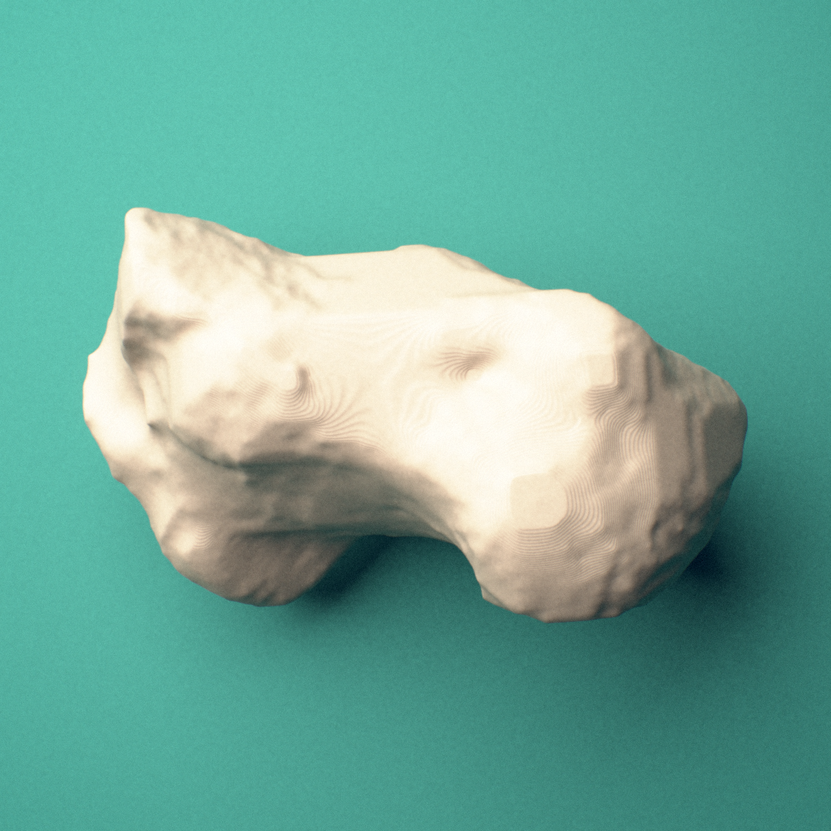 3D-printed Left calcaneus (heel bone), oblique view showing the sustentaculum tali.