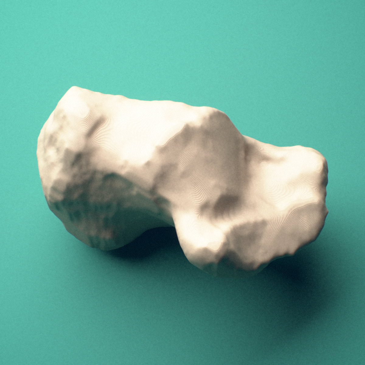 3D-printed Left calcaneus (heel bone), lateral view showing the peroneal trochlea.