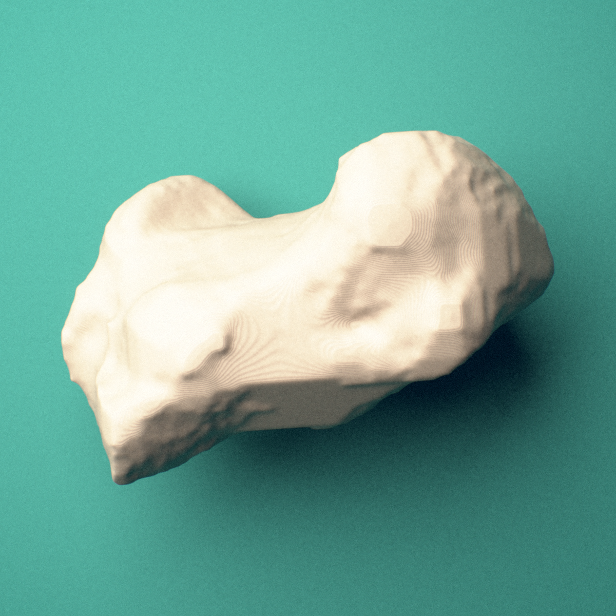 3D-printed Right calcaneus (heel bone), oblique view showing the sustentaculum tali.