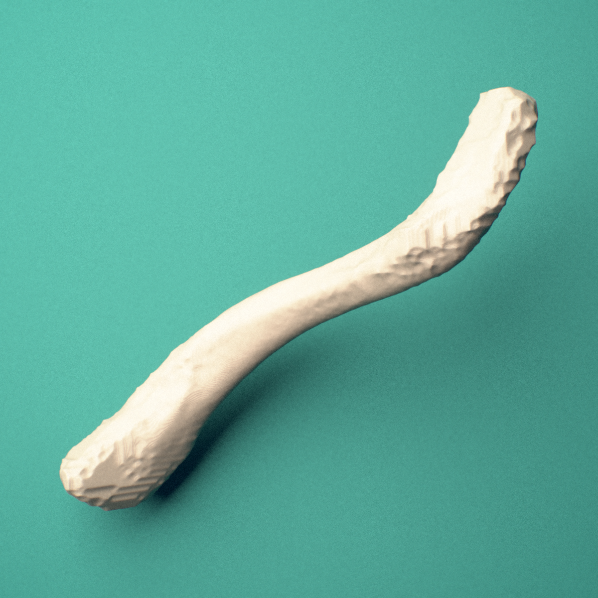 3D-printed Left clavicle (collarbone), oblique close-up view showing the sternal end.