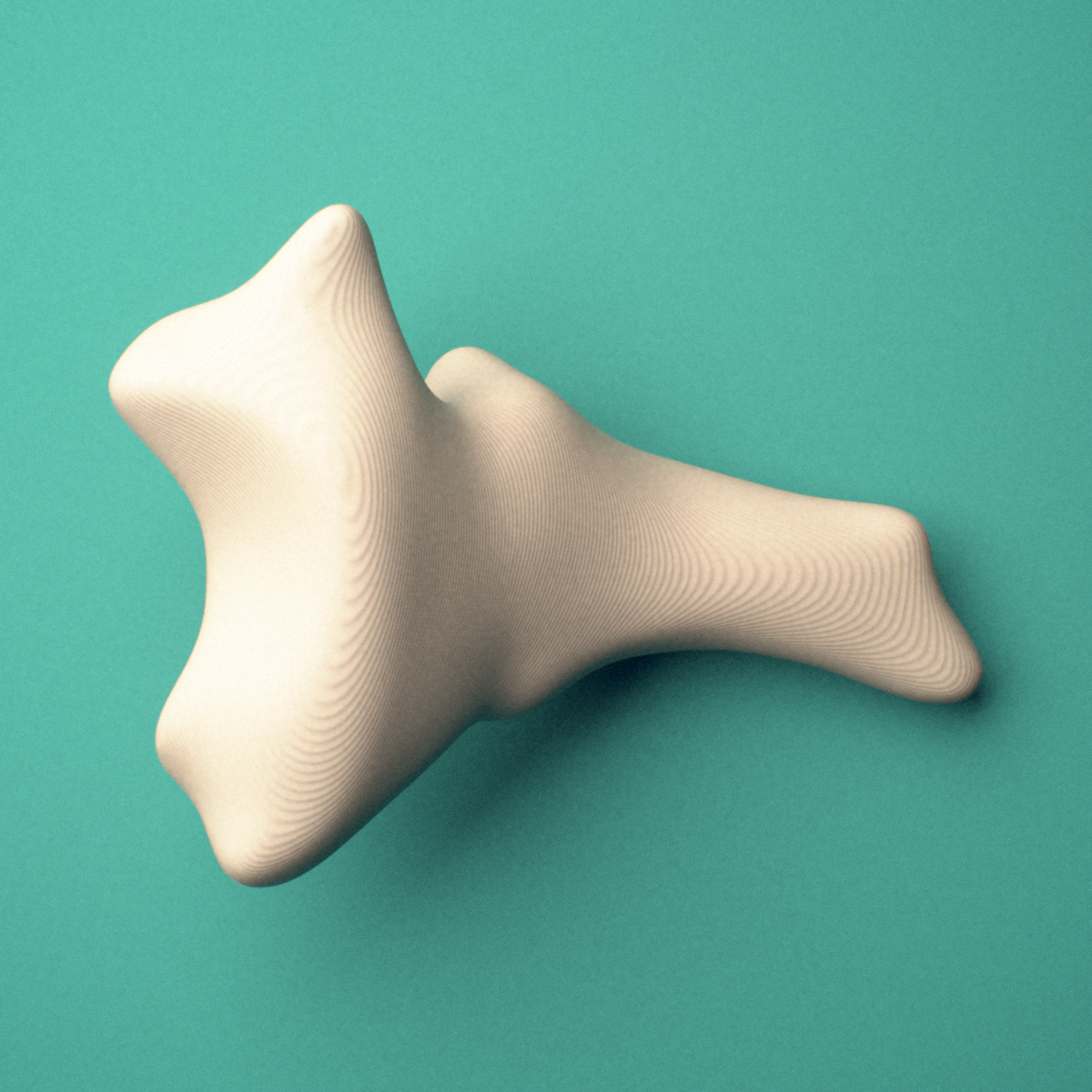 3D-printed Coccyx (tailbone), female pelvis, anterior oblique view showing the base and cornua.