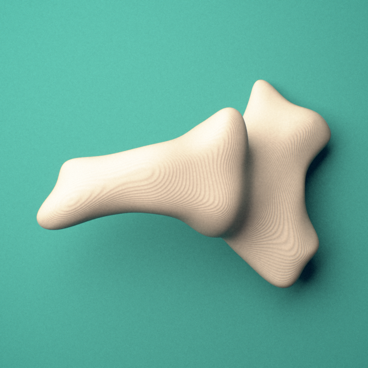 3D-printed Coccyx (tailbone), female pelvis, anterior view showing the fused coccygeal segments.