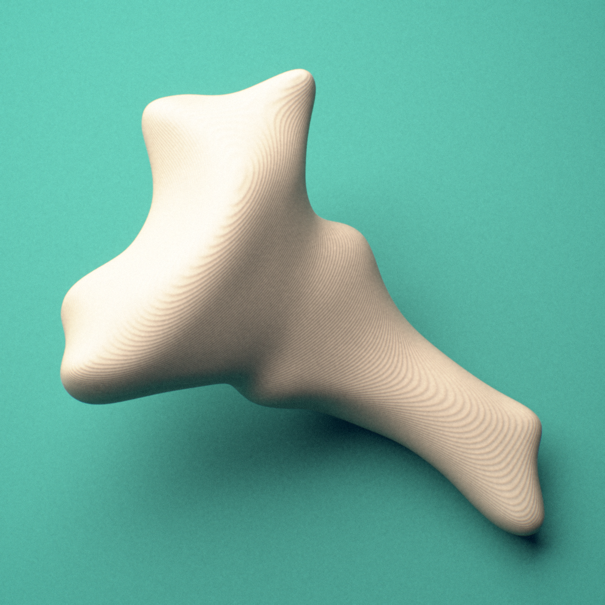 3D-printed Coccyx (tailbone), female pelvis, posterior oblique view showing the cornua.