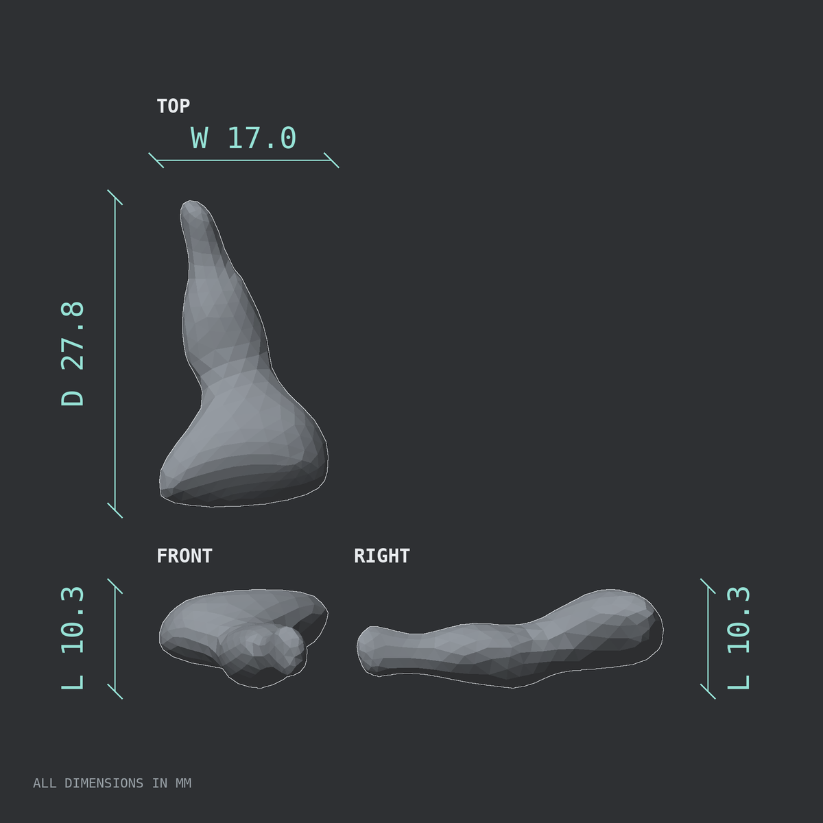 3D rendered dimensional drawing of the Coccyx (tailbone), male pelvis, top, front, and side views.