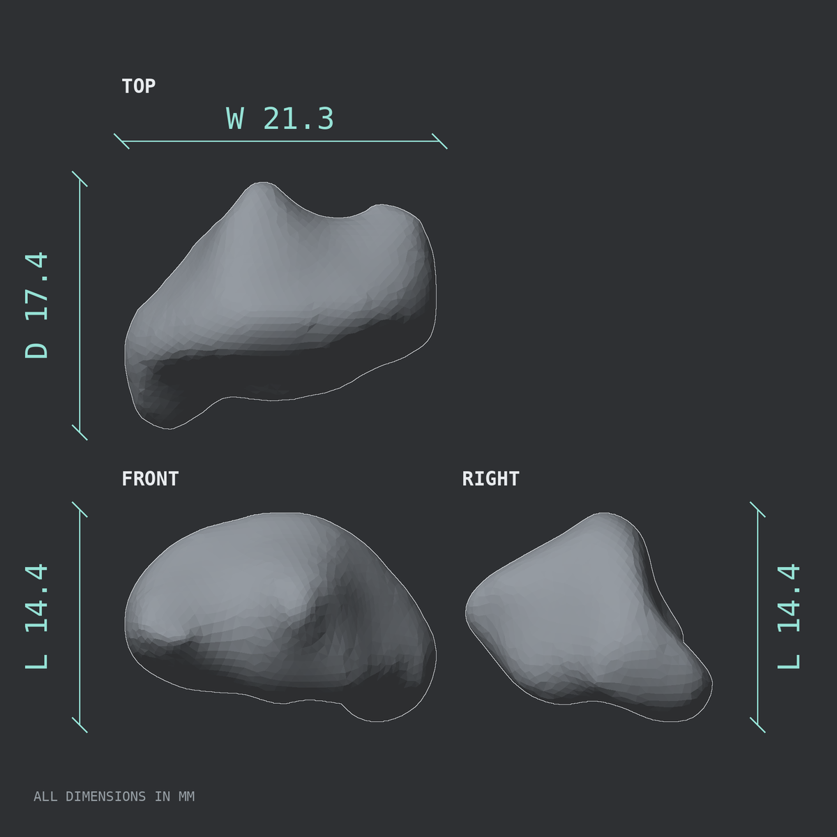 3D rendered dimensional drawing of the Left big toe (hallux) distal phalanx, top, front, and side views.