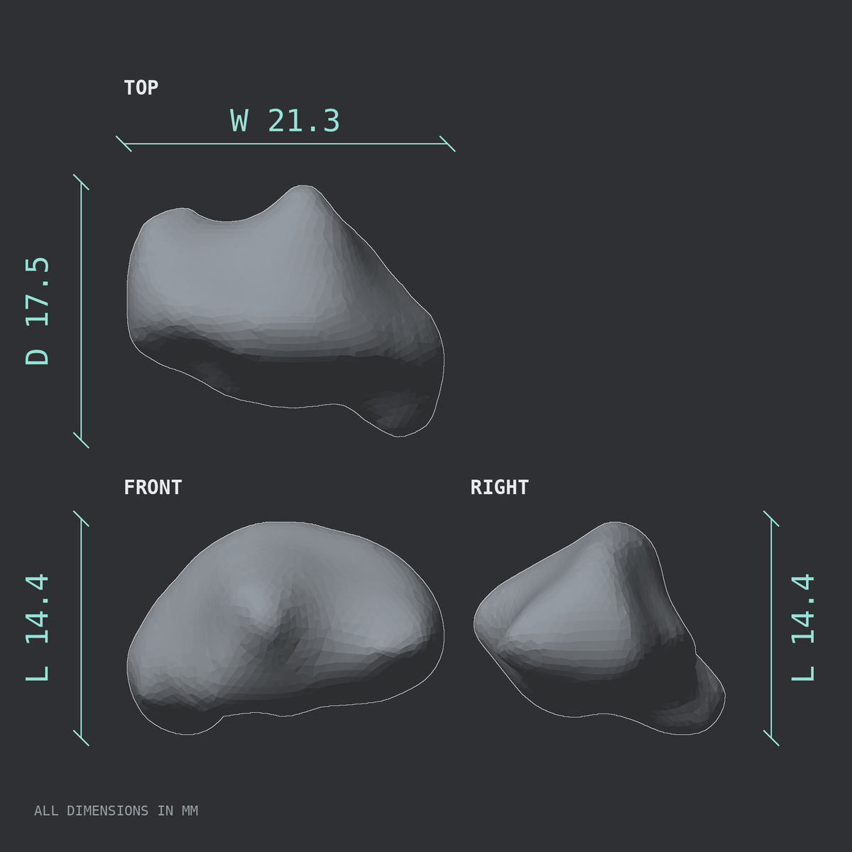 3D rendered dimensional drawing of the Right big toe (hallux) distal phalanx, top, front, and side views.
