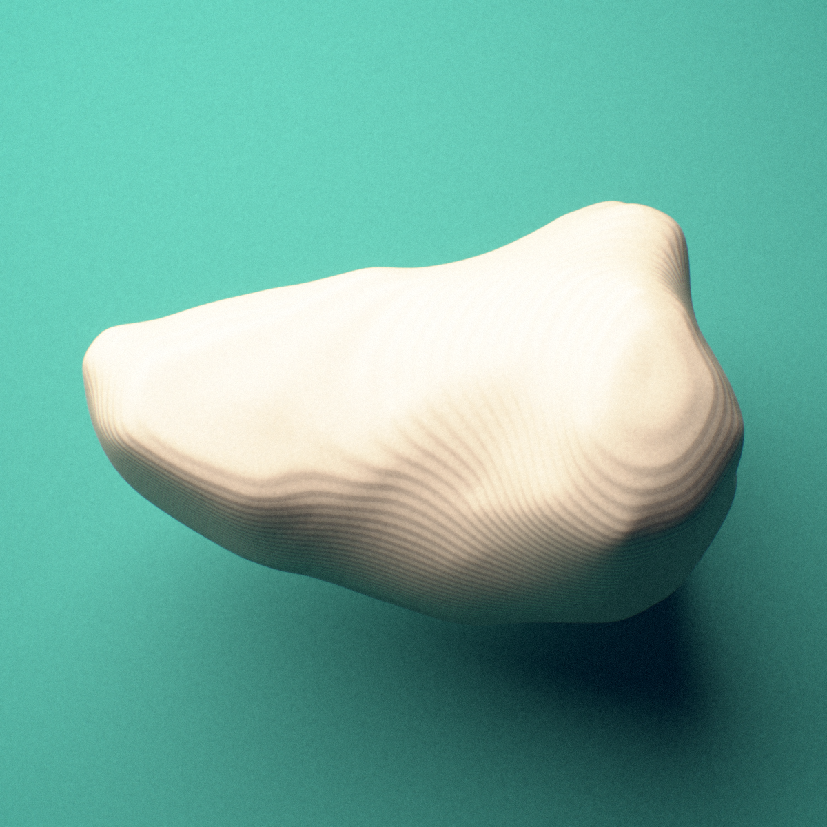 3D-printed Left little toe distal phalanx, close-up view showing the head (trochlea).