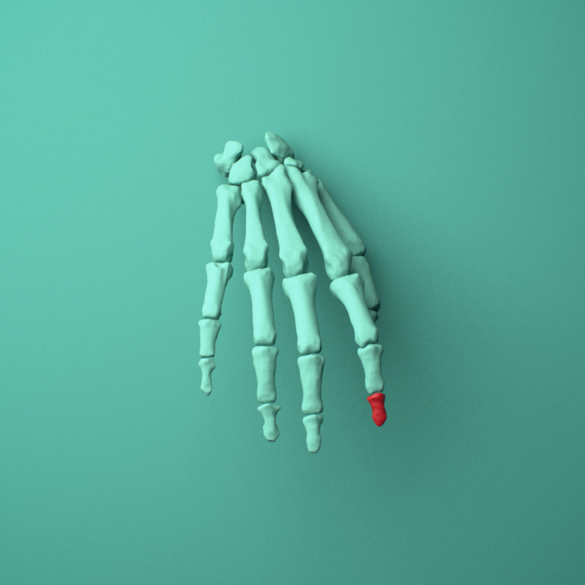 3D model of the Right index finger distal phalanx shown in position within a full hand and wrist model, anterior view.