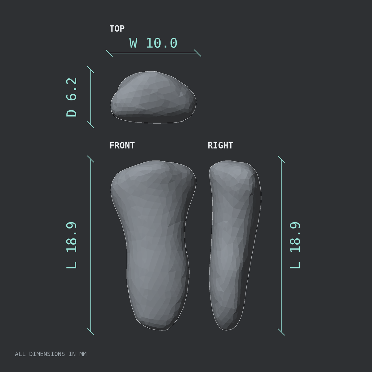 3D rendered dimensional drawing of the Right middle finger distal phalanx, top, front, and side views.