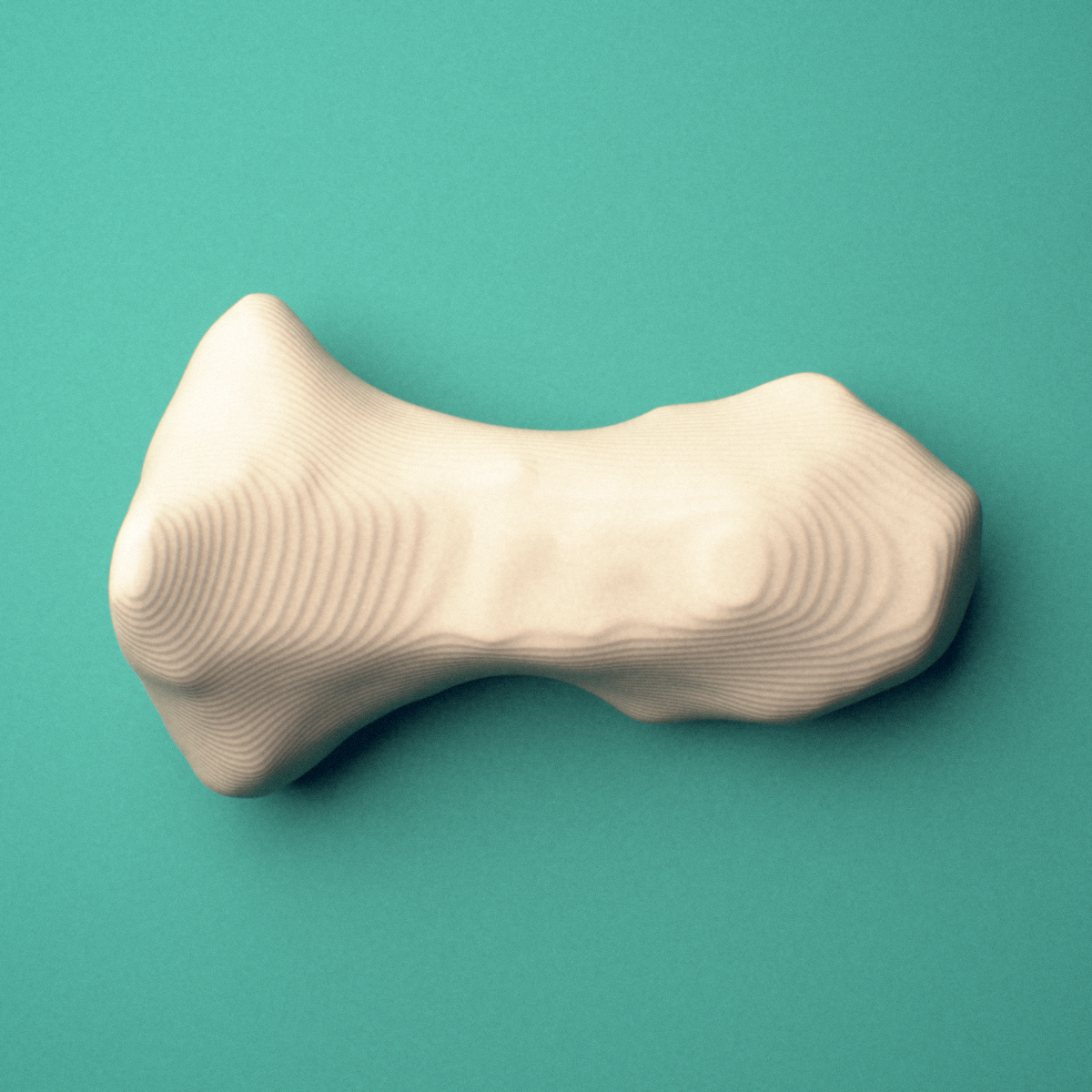 3D-printed Right ring finger distal phalanx, oblique view showing the base and head (trochlea).