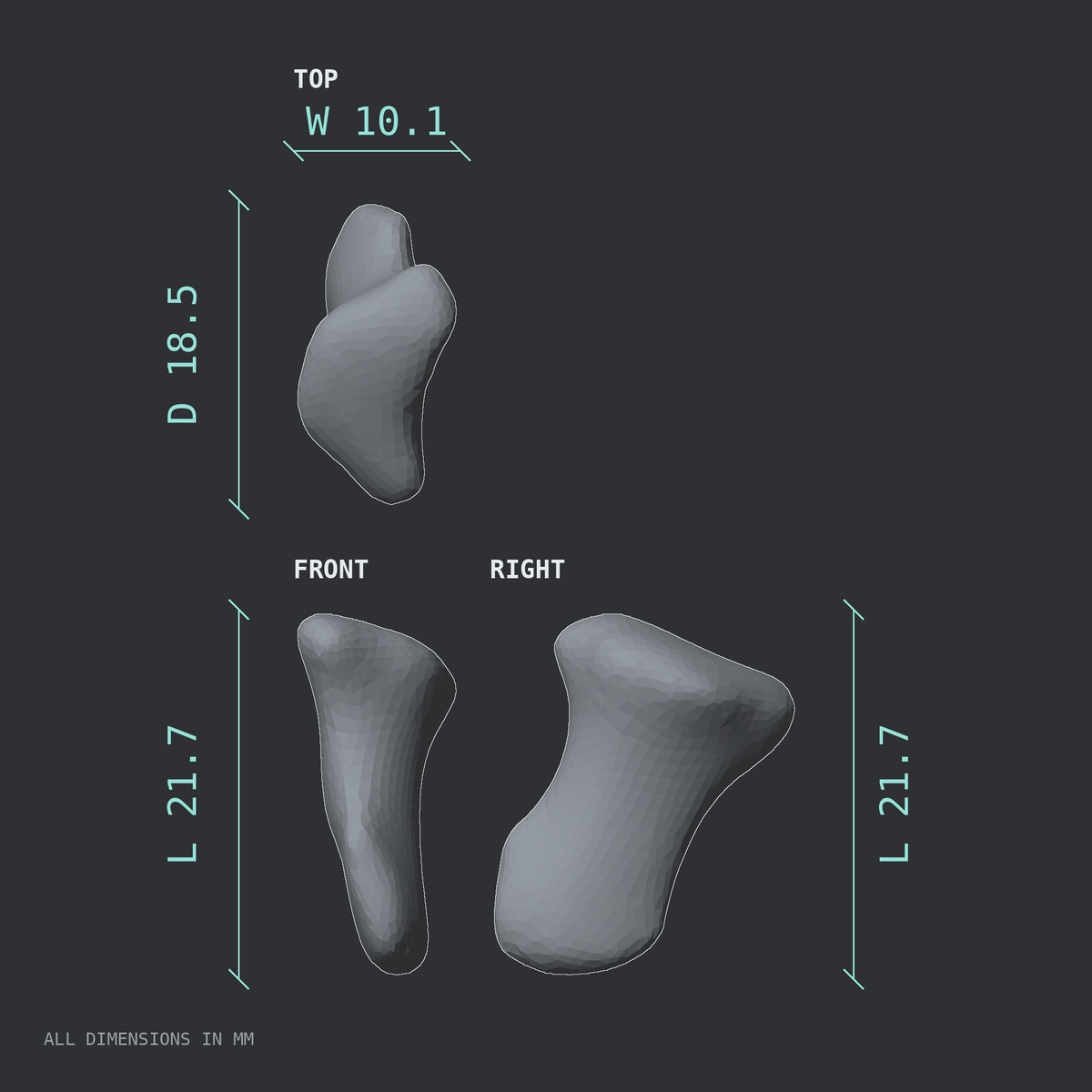3D rendered dimensional drawing of the Right thumb distal phalanx, top, front, and side views.