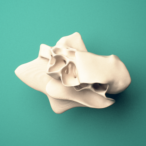 3D-printed Ethmoid bone, oblique view showing the cribriform plate.