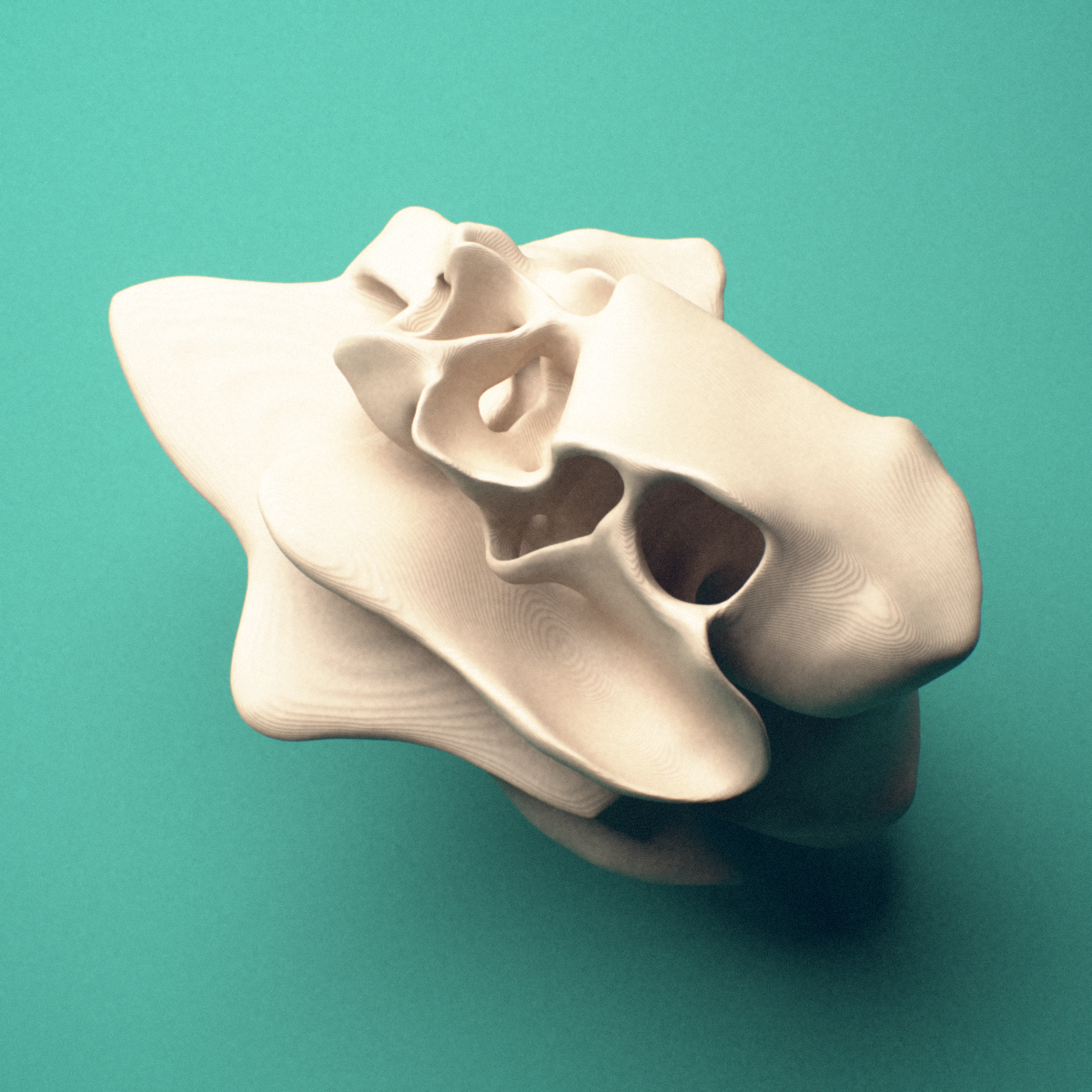 3D-printed Ethmoid bone, lateral view showing the ethmoidal labyrinth.