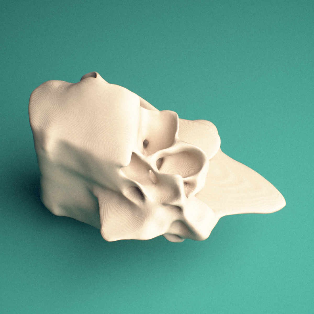 3D-printed Ethmoid bone, medial view showing the crista galli.
