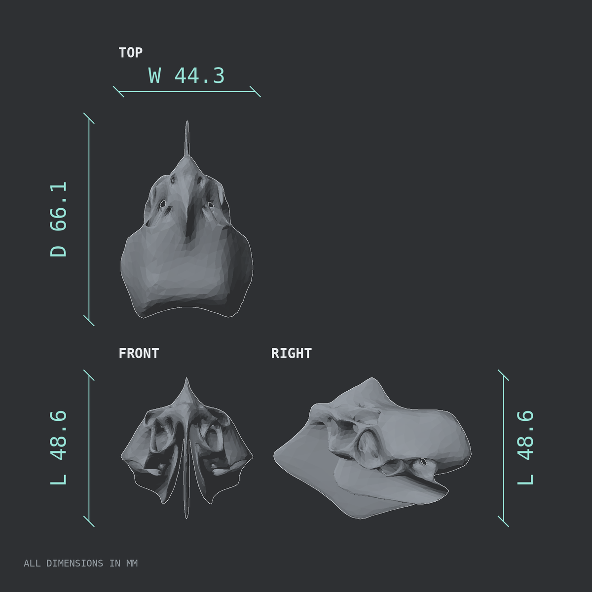 3D rendered dimensional drawing of the Ethmoid bone, top, front, and side views.