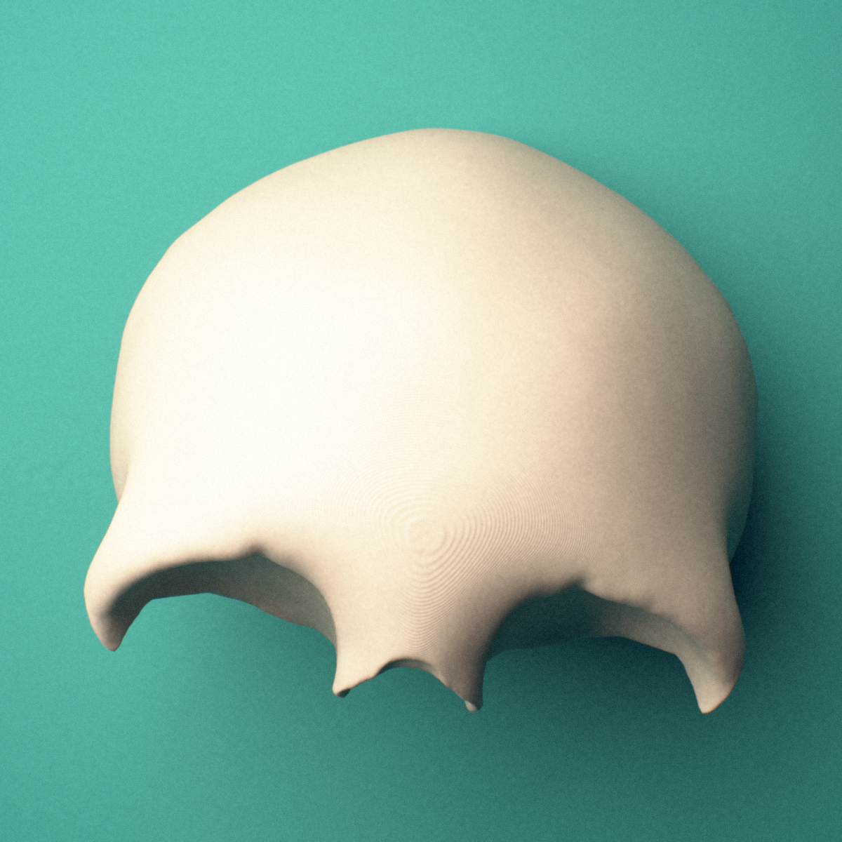 3D-printed Frontal bone, anterior view showing the supraorbital margins and glabella.