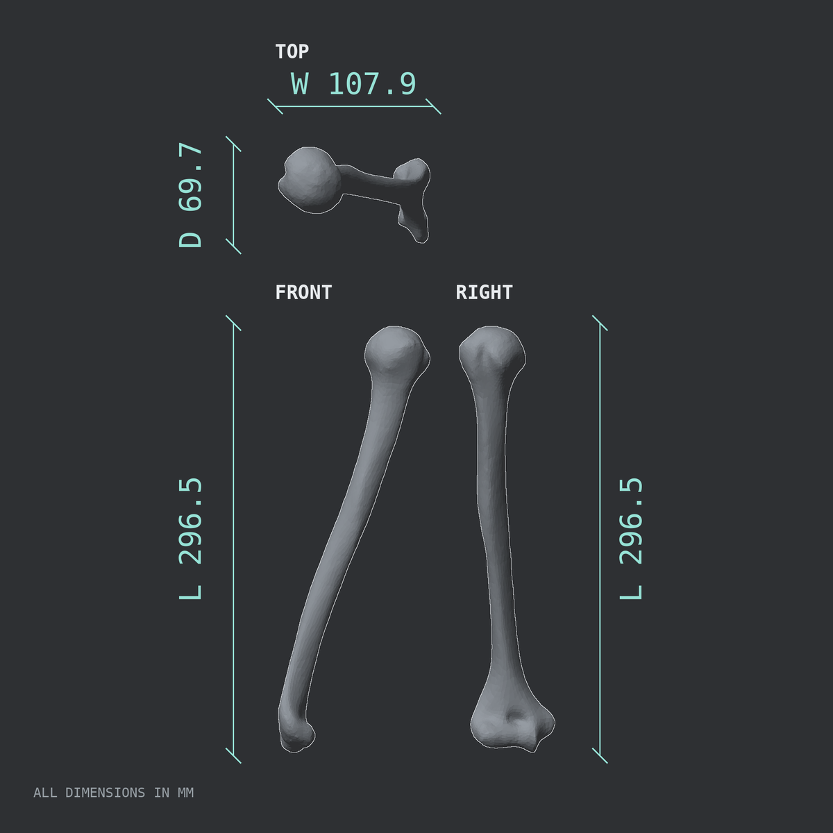 3D rendered dimensional drawing of the Right humerus, top, front, and side views.