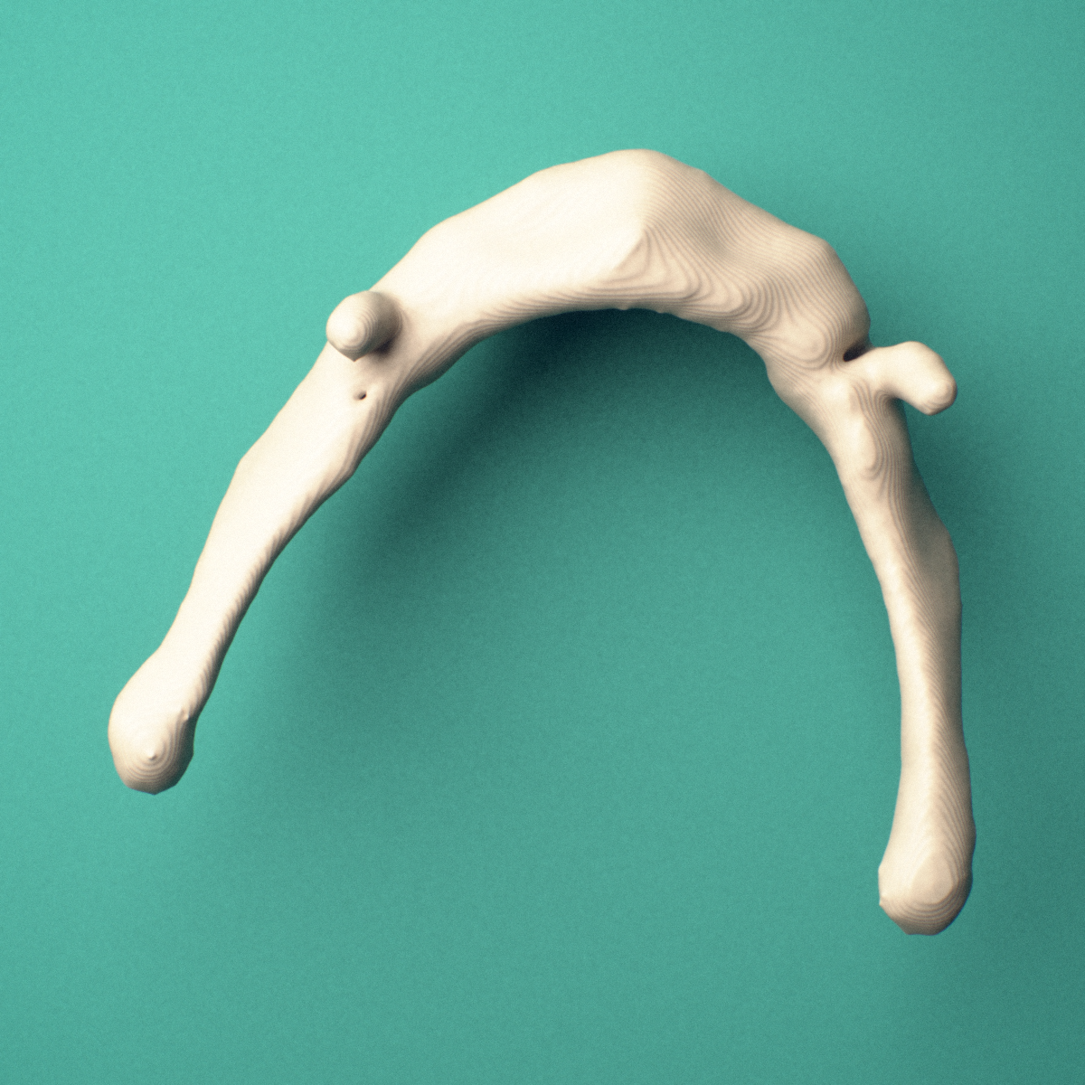 3D-printed Hyoid bone, oblique view showing the body.