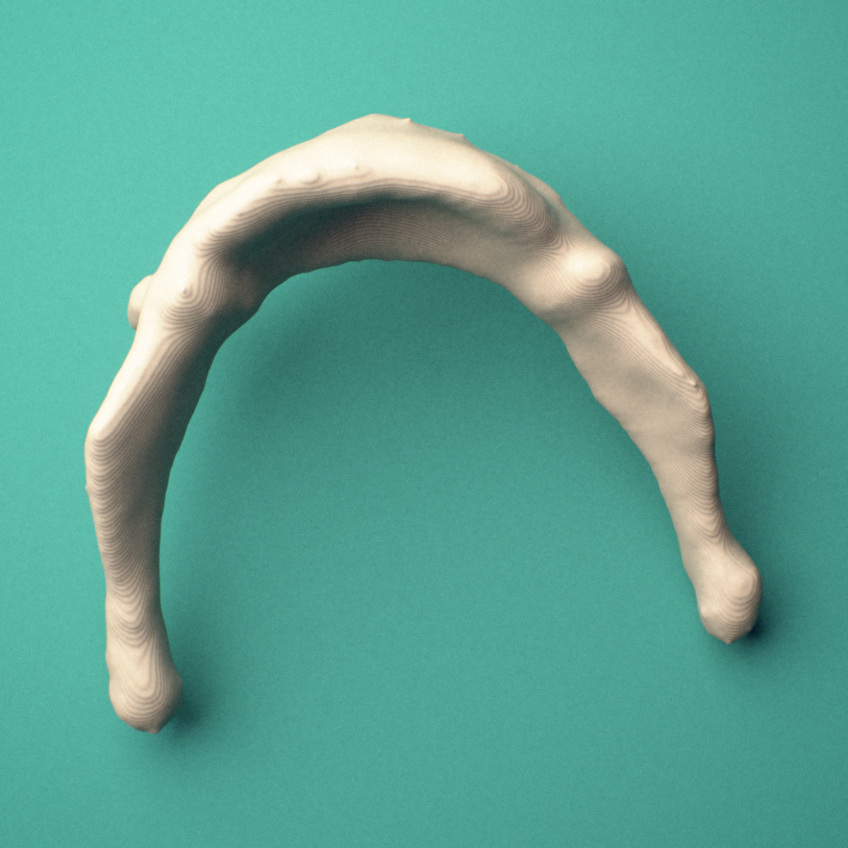 3D-printed Hyoid bone, oblique view showing the greater cornua.