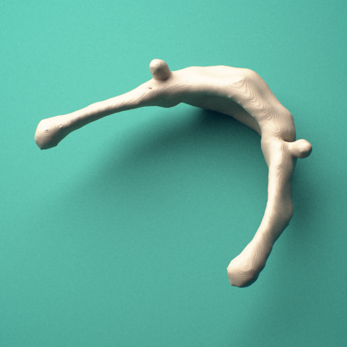 3D-printed Hyoid bone, lateral view showing the lesser cornua.