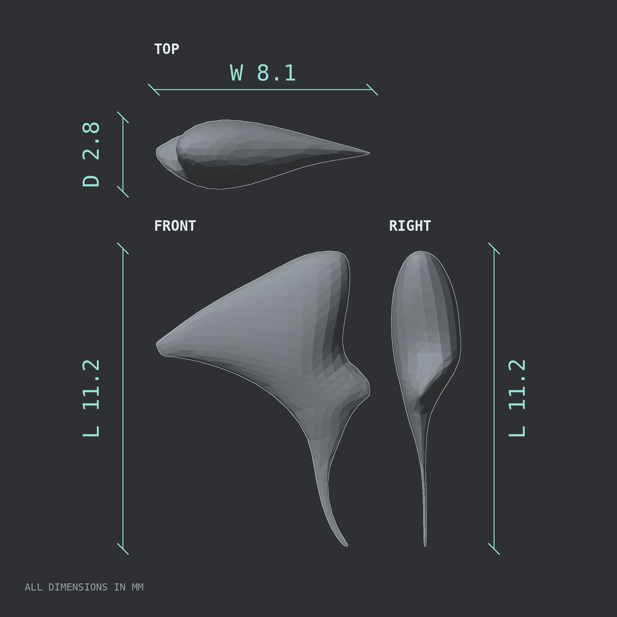 3D rendered dimensional drawing of the Right incus (middle ear ossicle), top, front, and side views.