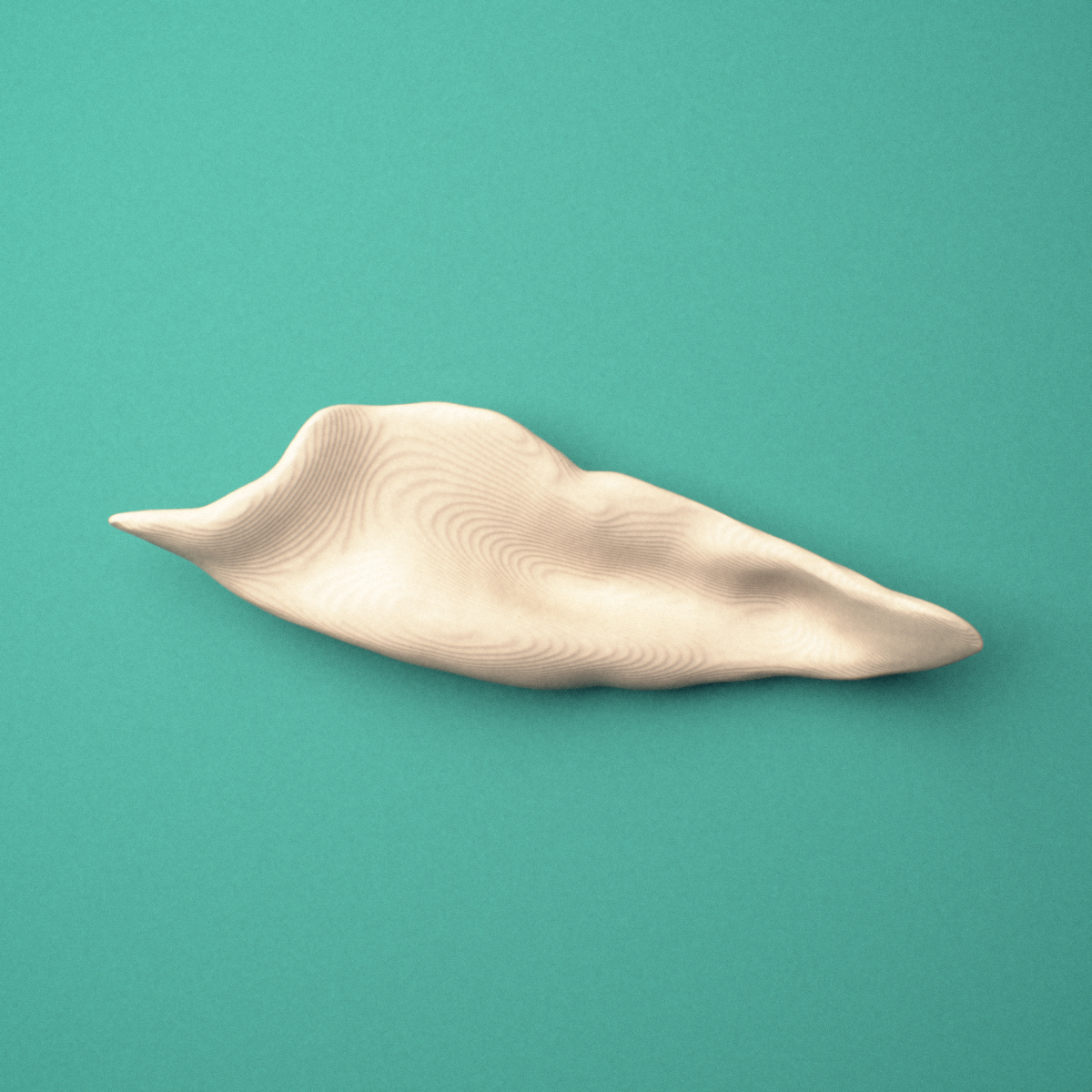 3D-printed Left inferior nasal concha, oblique view showing the curved scroll shape.