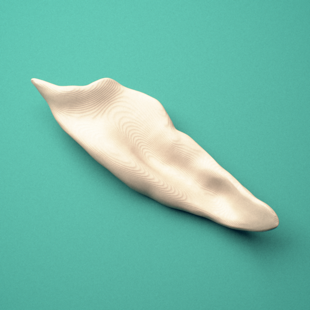 3D-printed Left inferior nasal concha, lateral view showing the maxillary process.