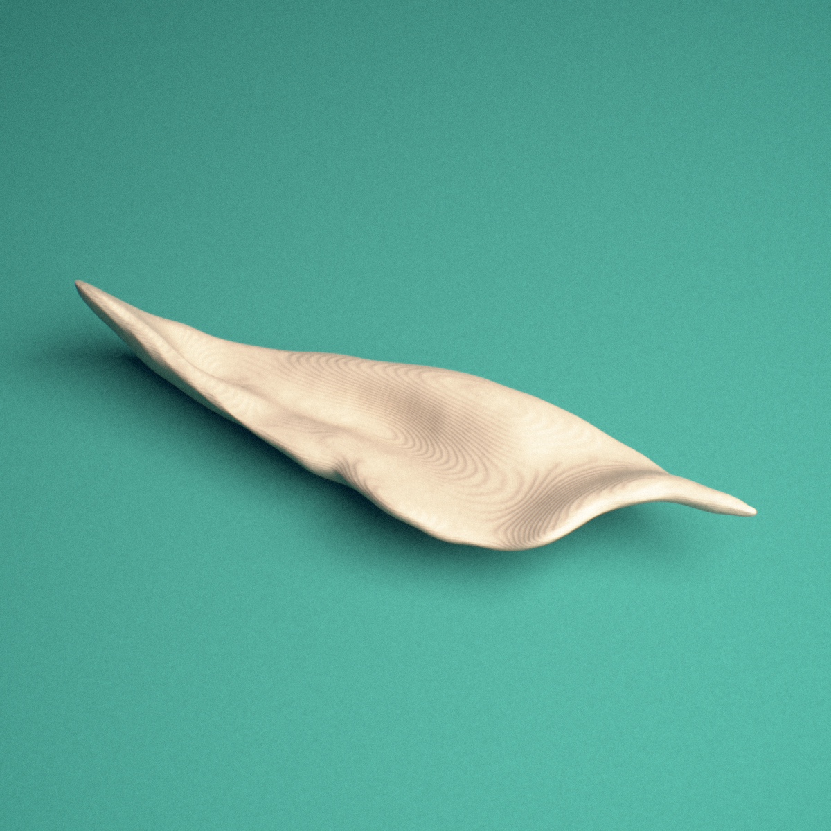 3D-printed Left inferior nasal concha, medial view showing the ethmoidal process.