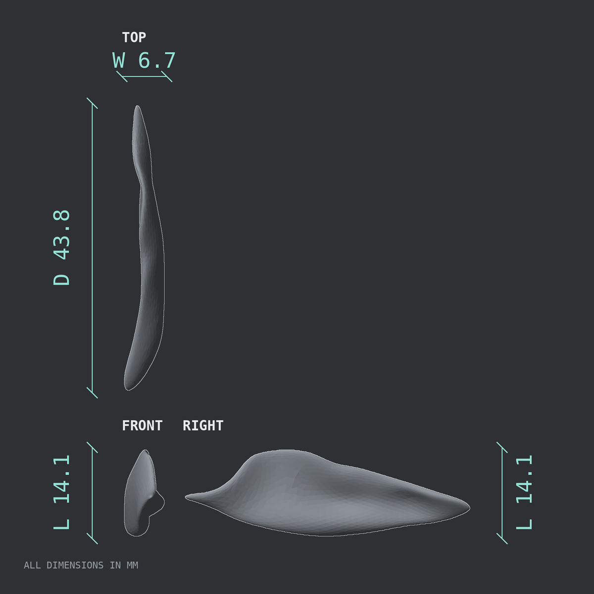 3D rendered dimensional drawing of the Left inferior nasal concha, top, front, and side views.