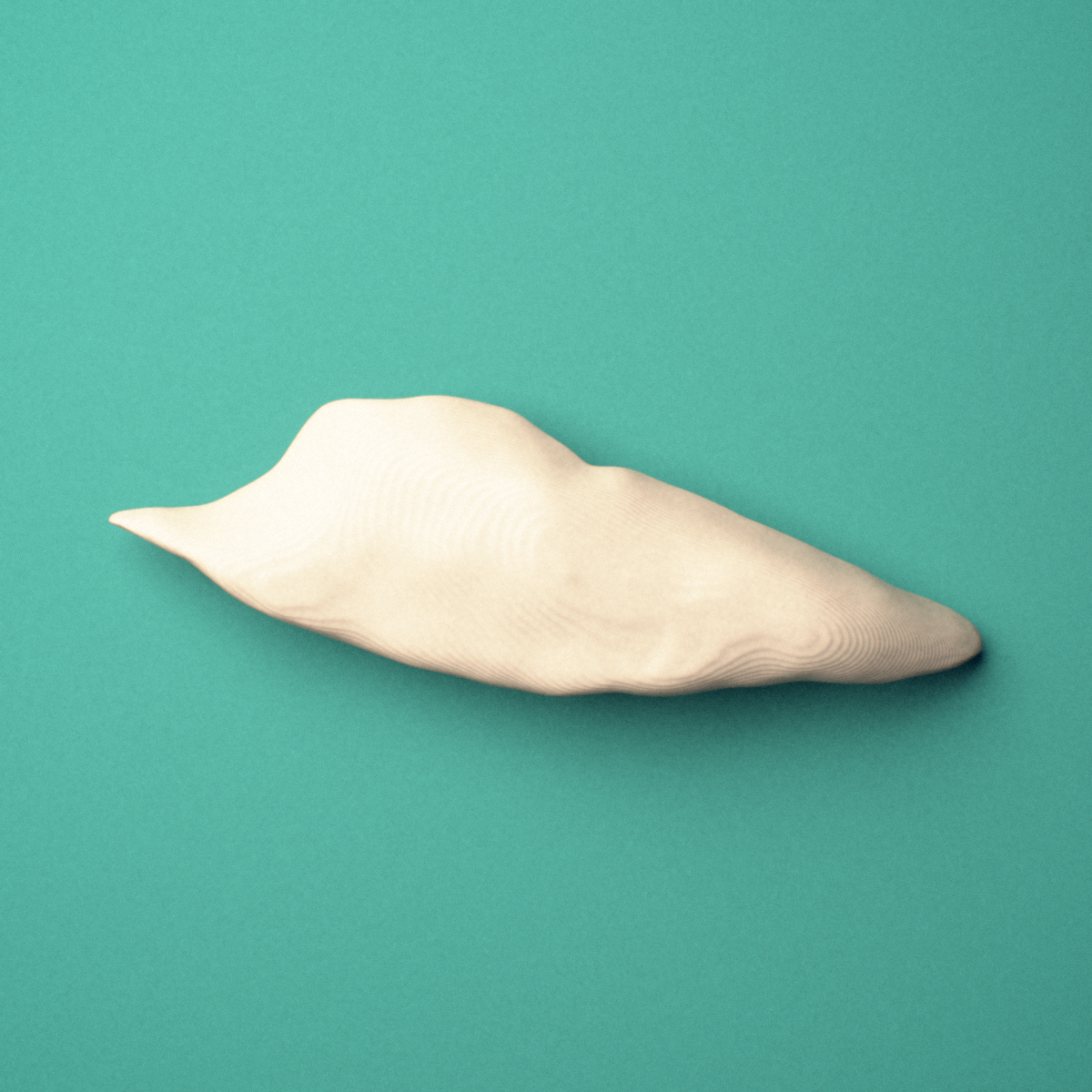 3D-printed Right inferior nasal concha, oblique view showing the curved scroll shape.