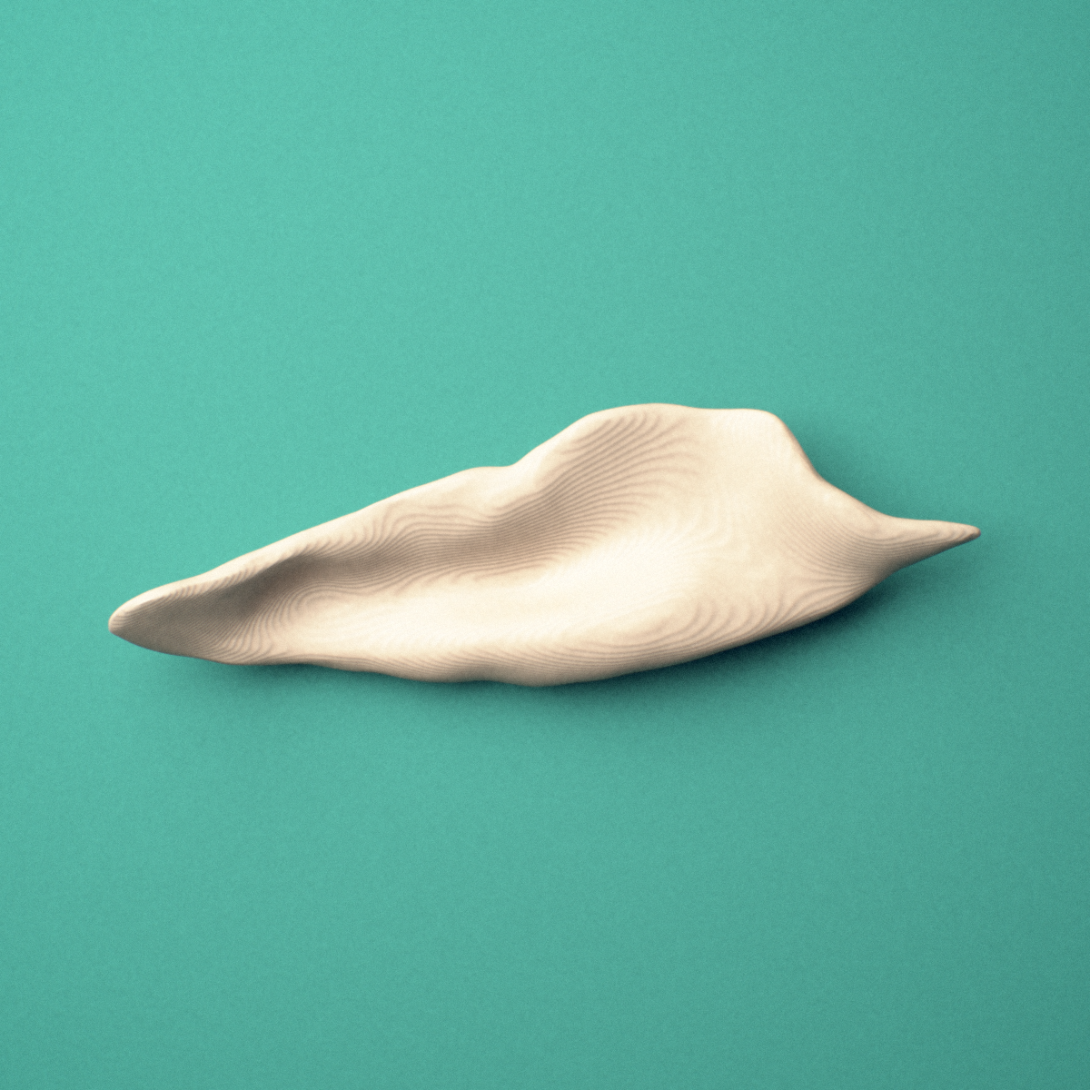 3D-printed Right inferior nasal concha, oblique view showing the lacrimal process.