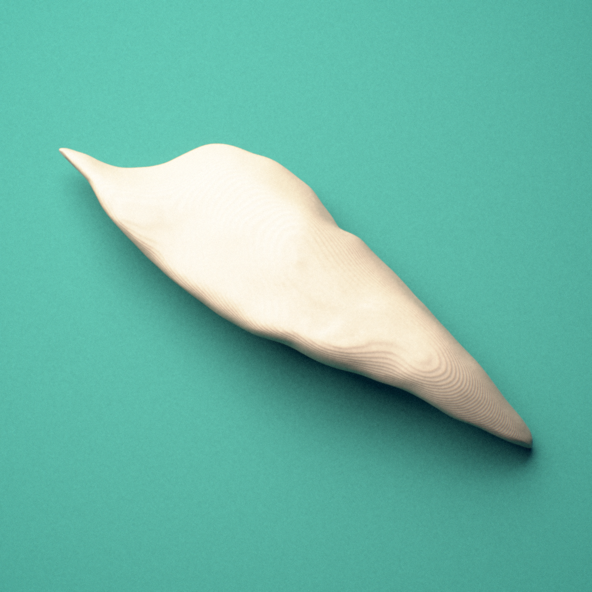 3D-printed Right inferior nasal concha, lateral view showing the maxillary process.