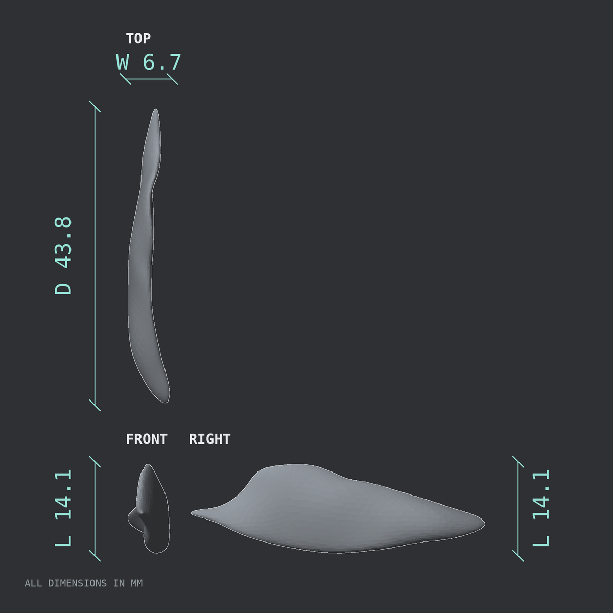 3D rendered dimensional drawing of the Right inferior nasal concha, top, front, and side views.