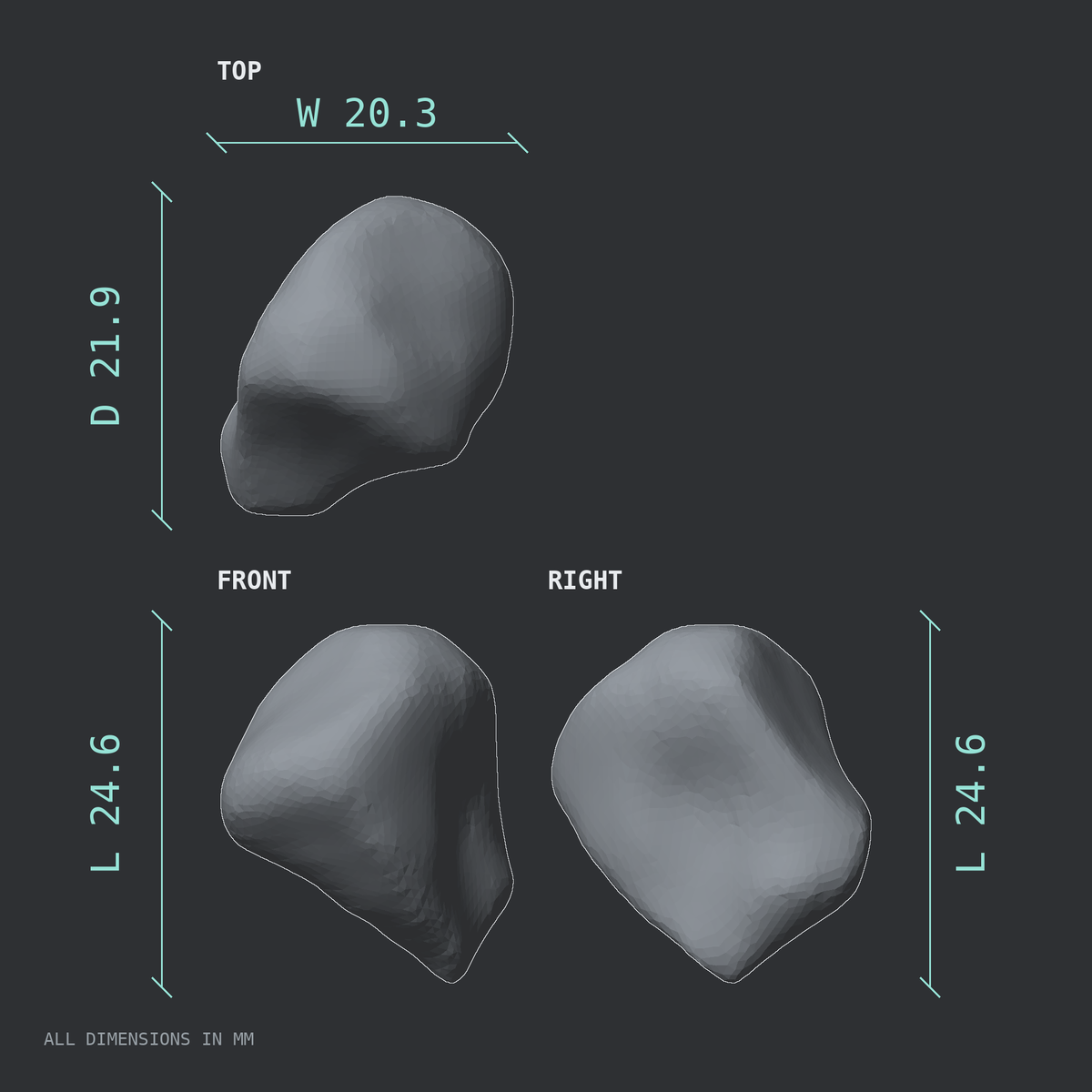 3D rendered dimensional drawing of the Right intermediate cuneiform (foot), top, front, and side views.