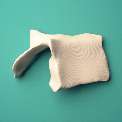 3D-printed Left lacrimal bone, oblique view showing the lacrimal groove.