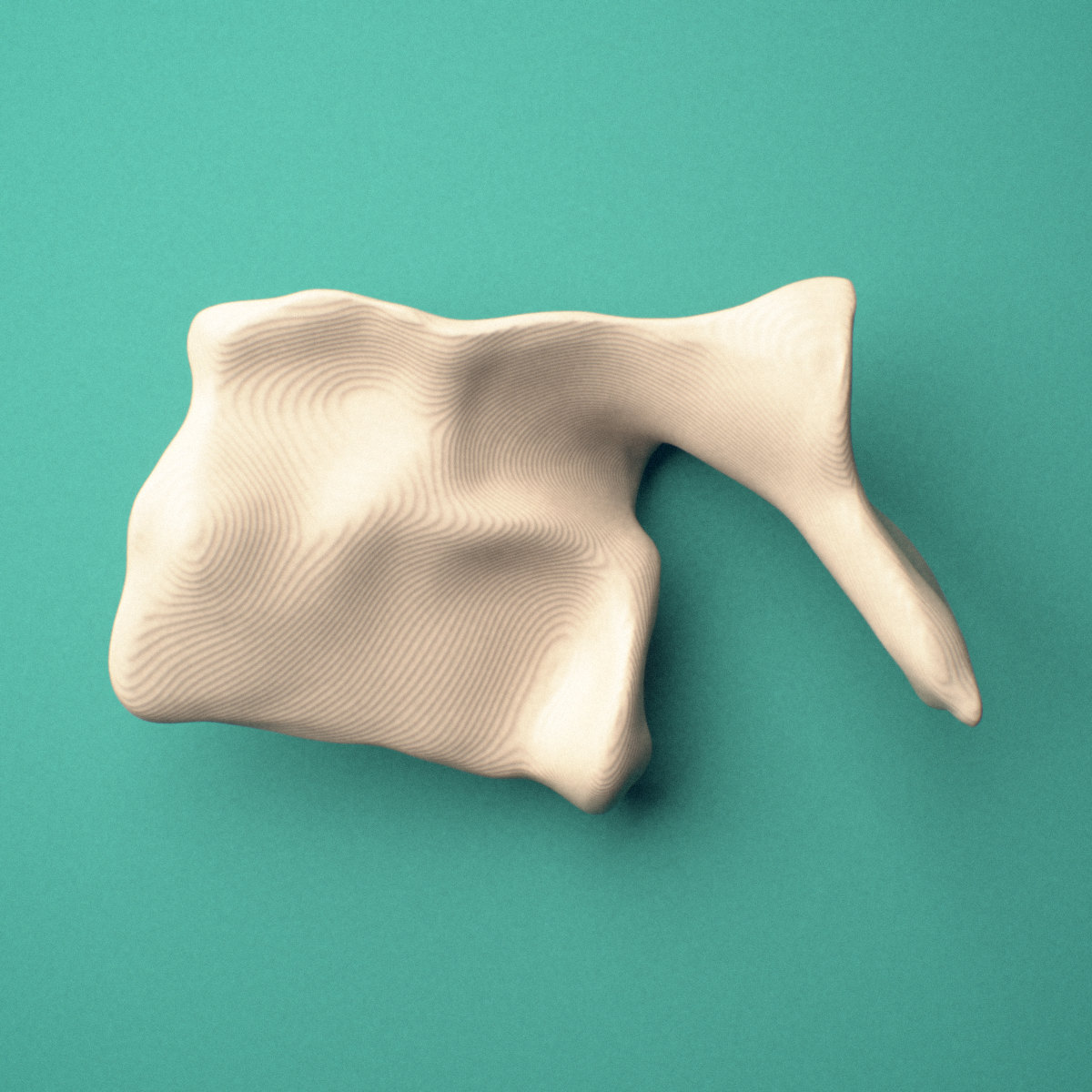 3D-printed Left lacrimal bone, oblique view showing the orbital surface.