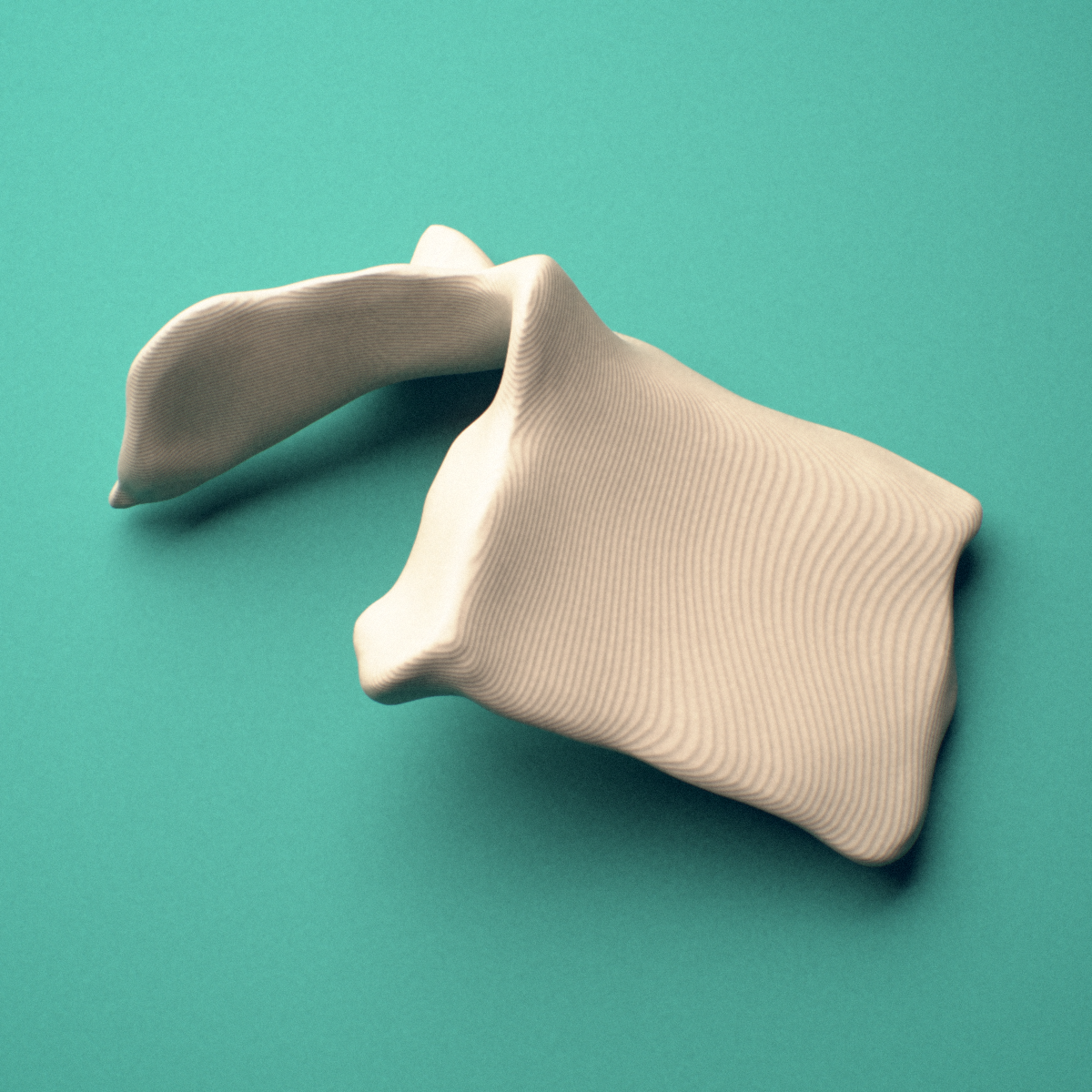 3D-printed Left lacrimal bone, lateral view showing the thin bony plate.