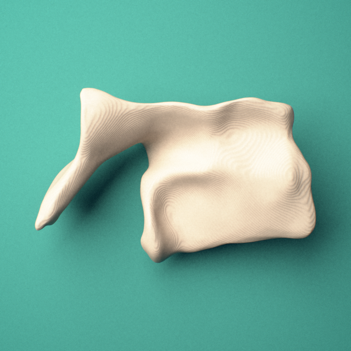3D-printed Right lacrimal bone, oblique view showing the lacrimal groove.