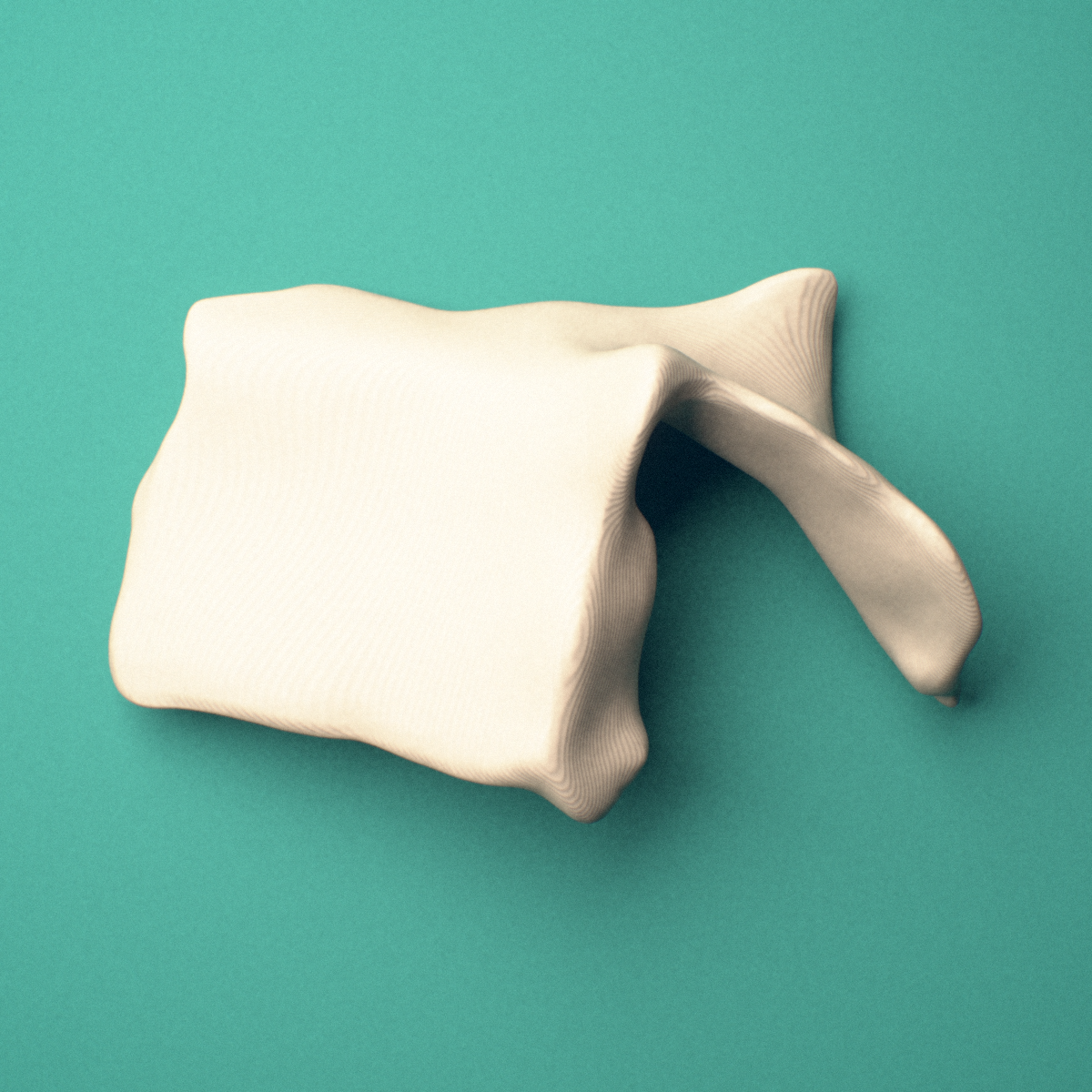 3D-printed Right lacrimal bone, oblique view showing the orbital surface.