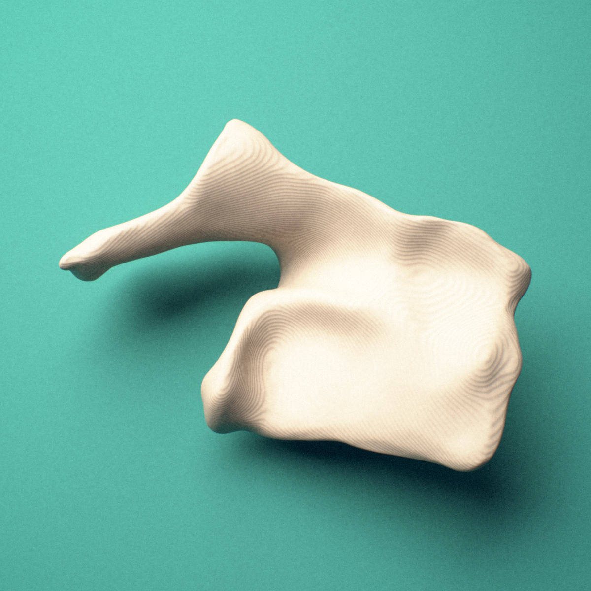 3D-printed Right lacrimal bone, lateral view showing the thin bony plate.