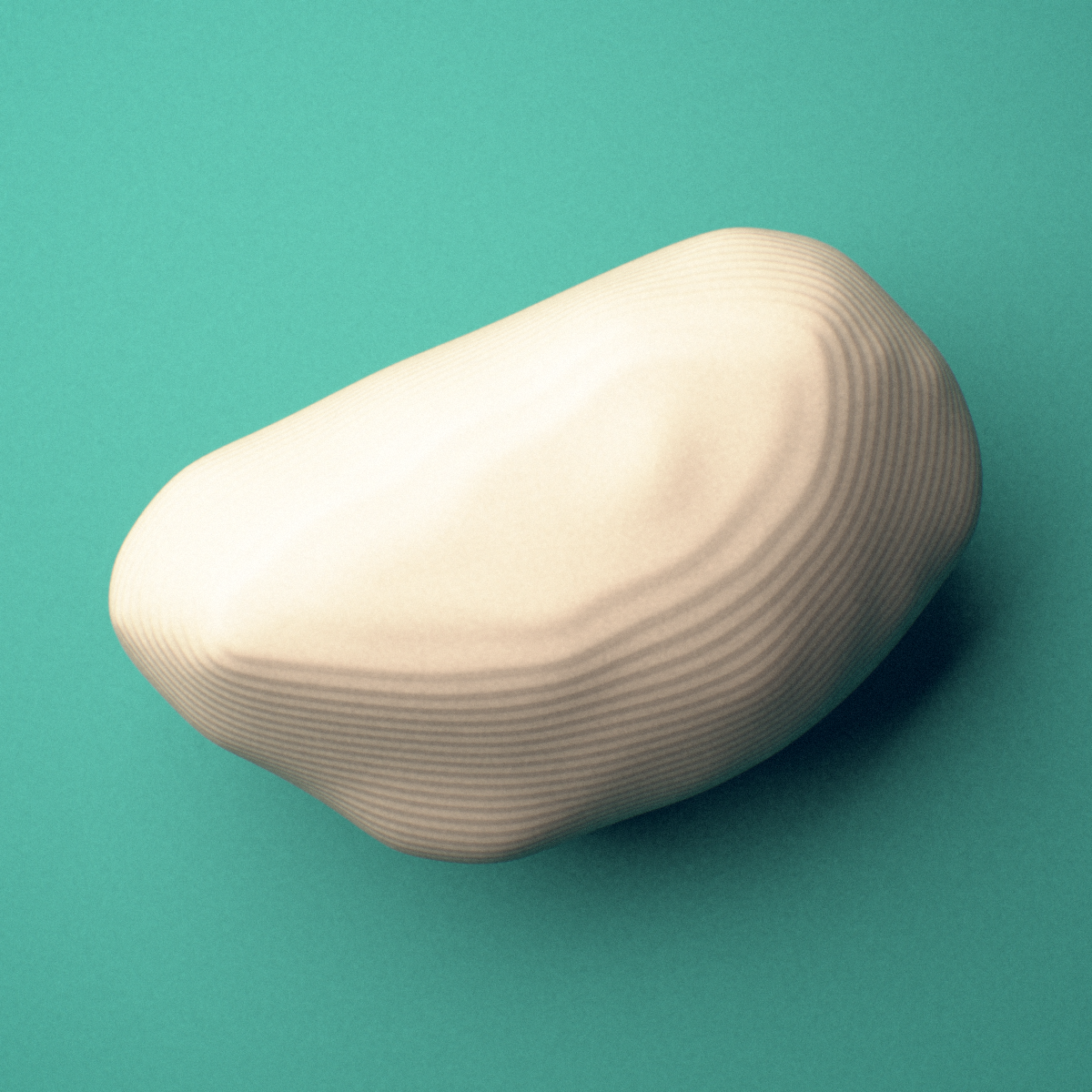 3D-printed Left lateral fibular sesamoid bone (foot), oblique view showing the smooth plantar surface.