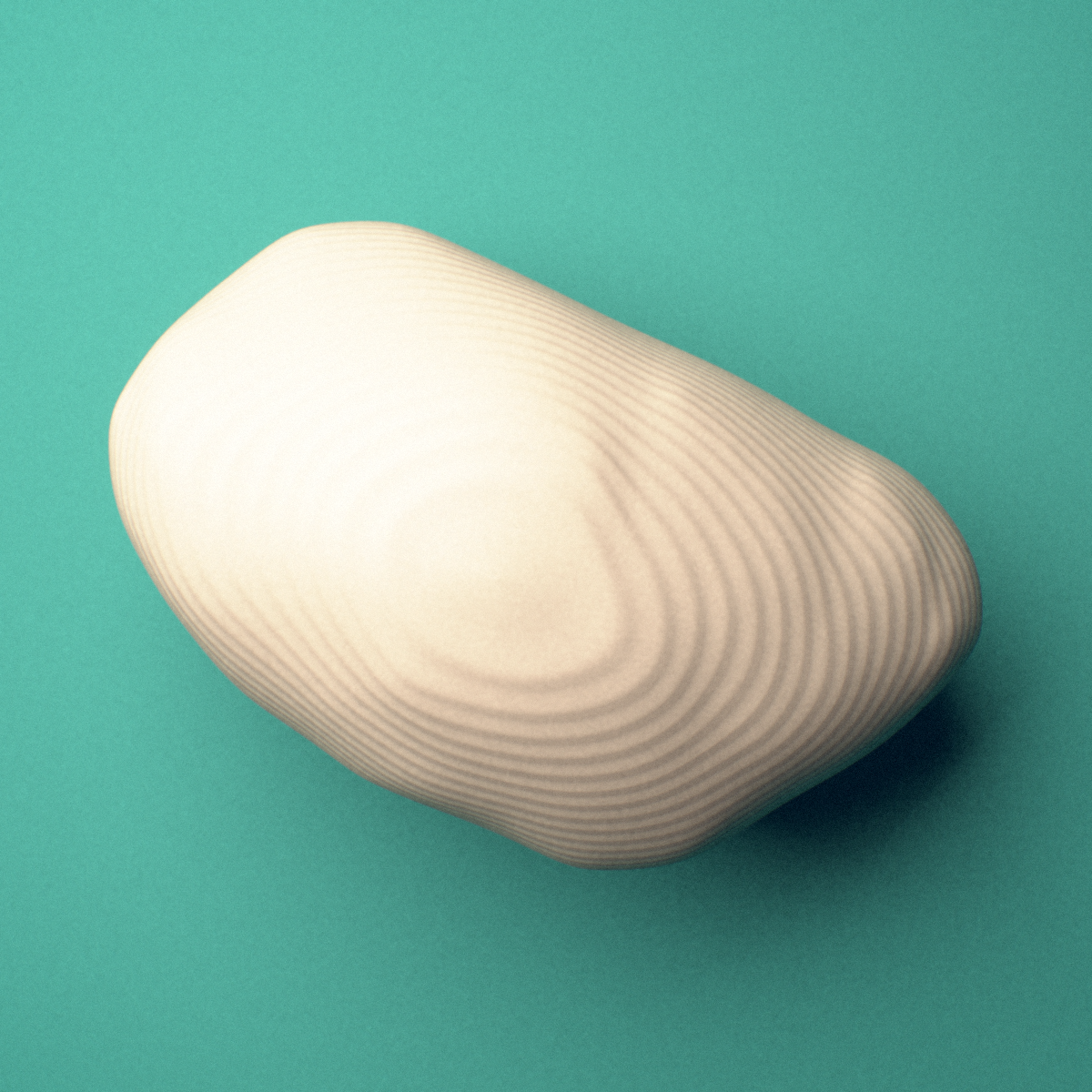 3D-printed Left lateral fibular sesamoid bone (foot), oblique view showing the superior articular facet.