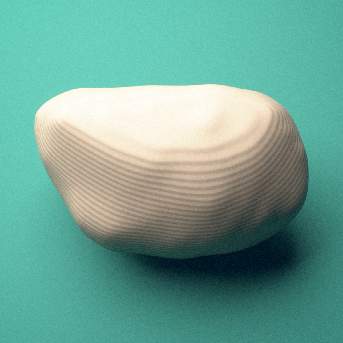 3D-printed Left lateral fibular sesamoid bone (foot), lateral view showing the oval profile.