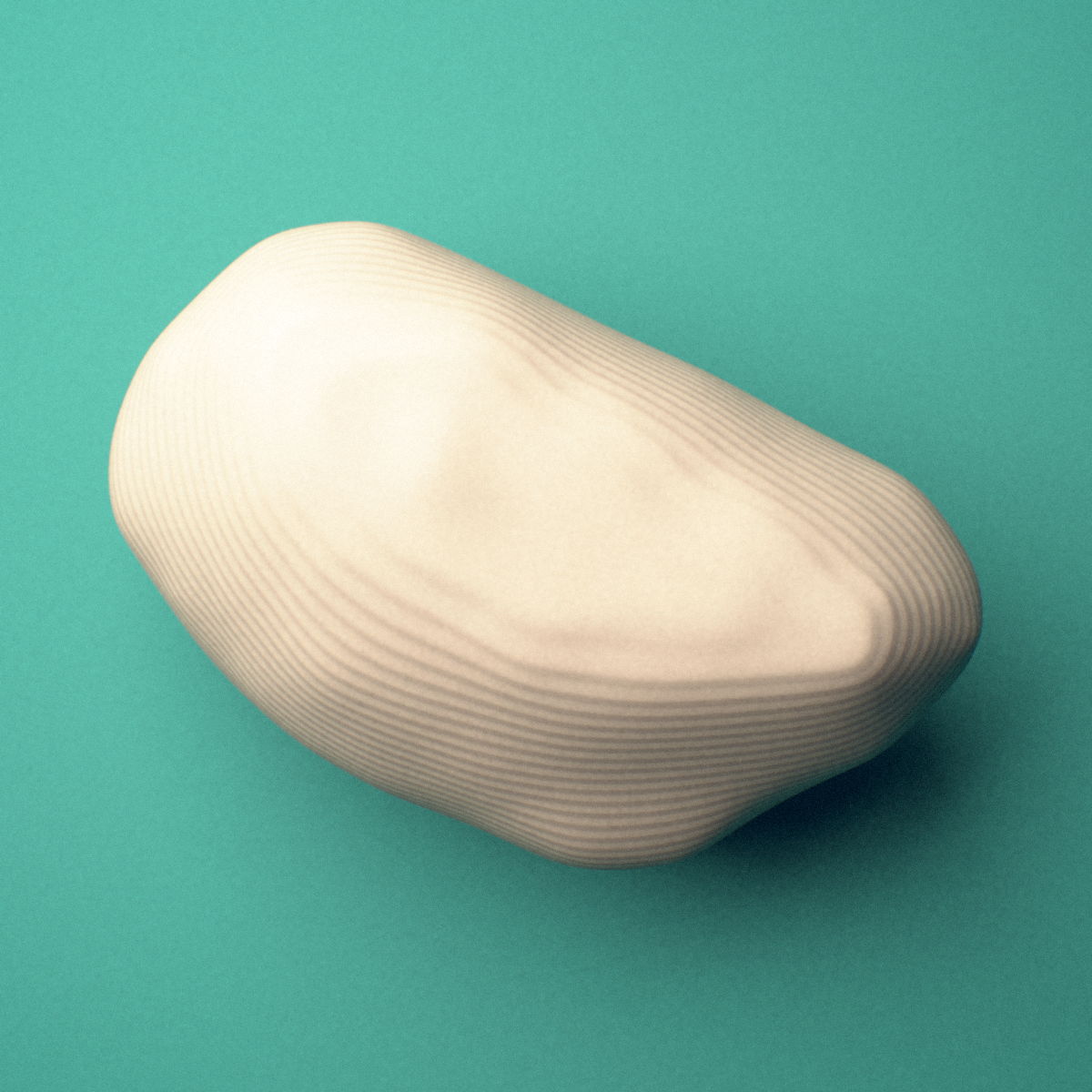 3D-printed Right lateral fibular sesamoid bone (foot), oblique view showing the superior articular facet.