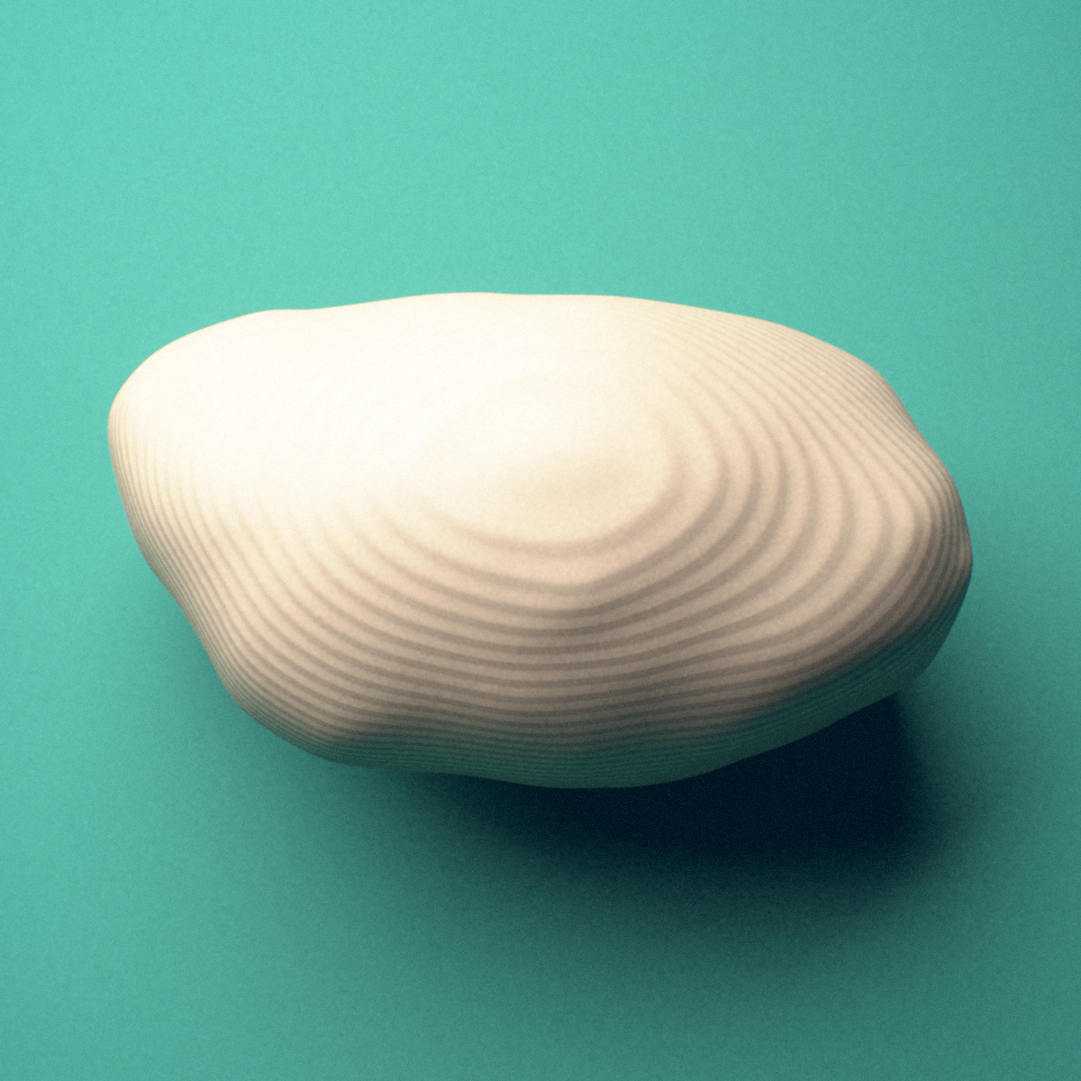 3D-printed Right lateral fibular sesamoid bone (foot), lateral view showing the oval profile.