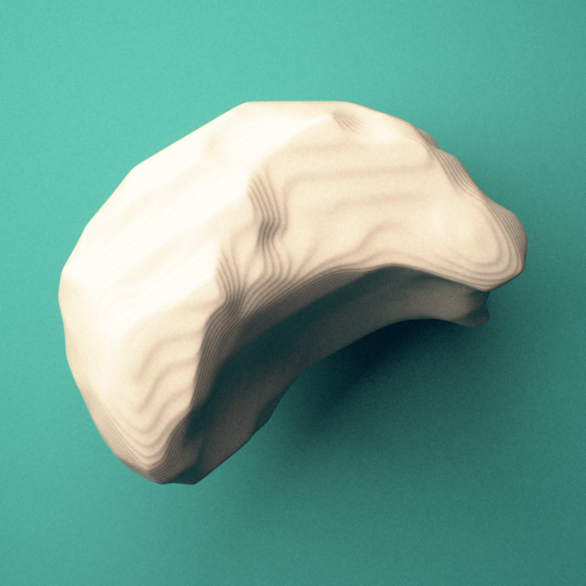 3D-printed Left lunate bone (wrist), oblique view showing the distal concave (capitate) surface.