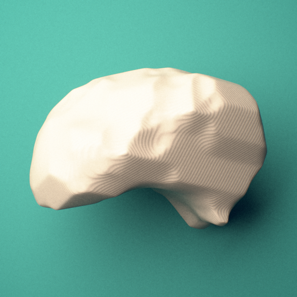 3D-printed Right lunate bone (wrist), oblique view showing the distal concave (capitate) surface.