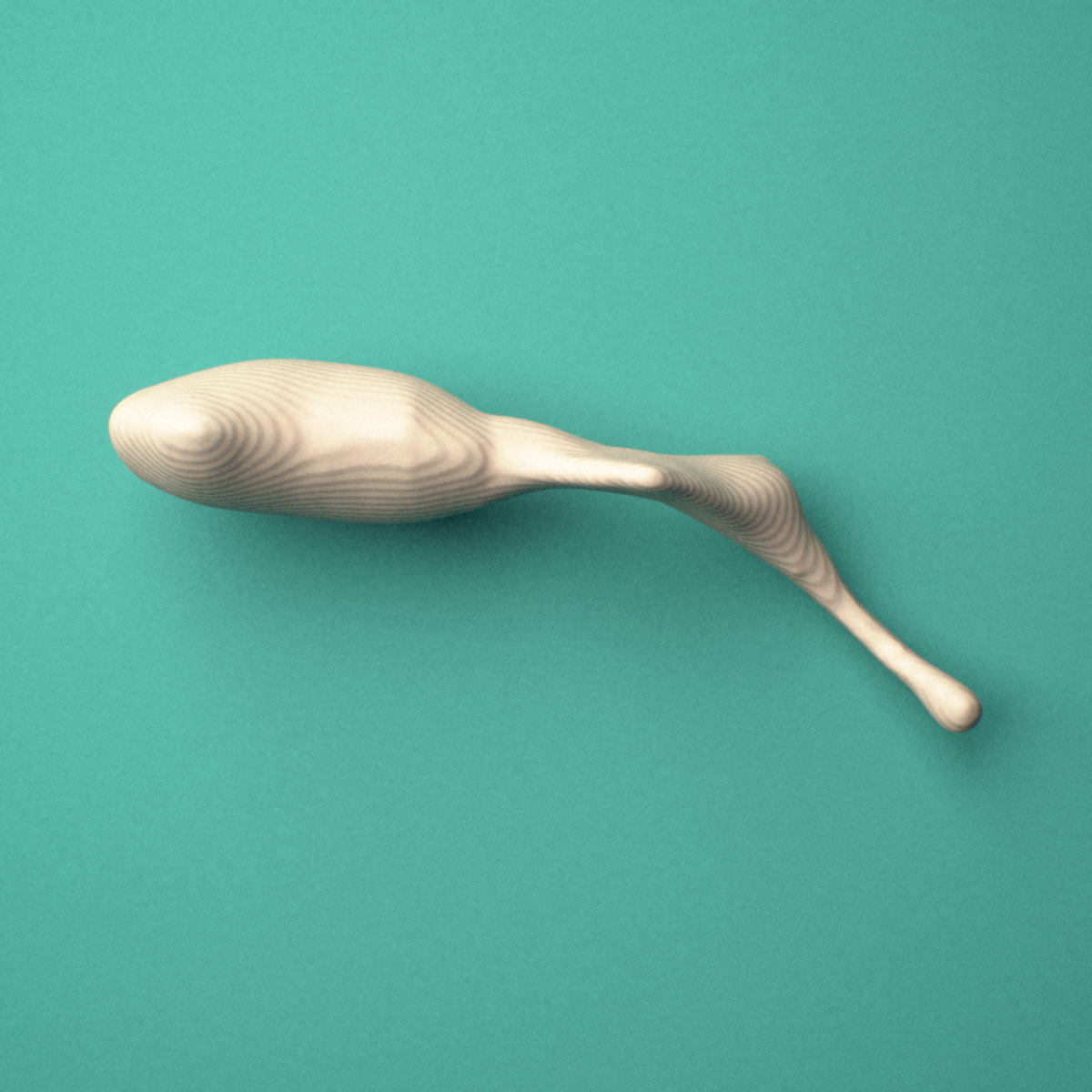 3D-printed Right malleus (middle ear ossicle), oblique view showing the head.