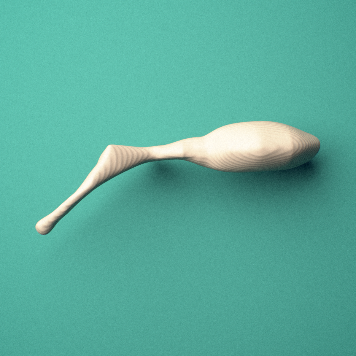 3D-printed Right malleus (middle ear ossicle), oblique view showing the neck and lateral process.