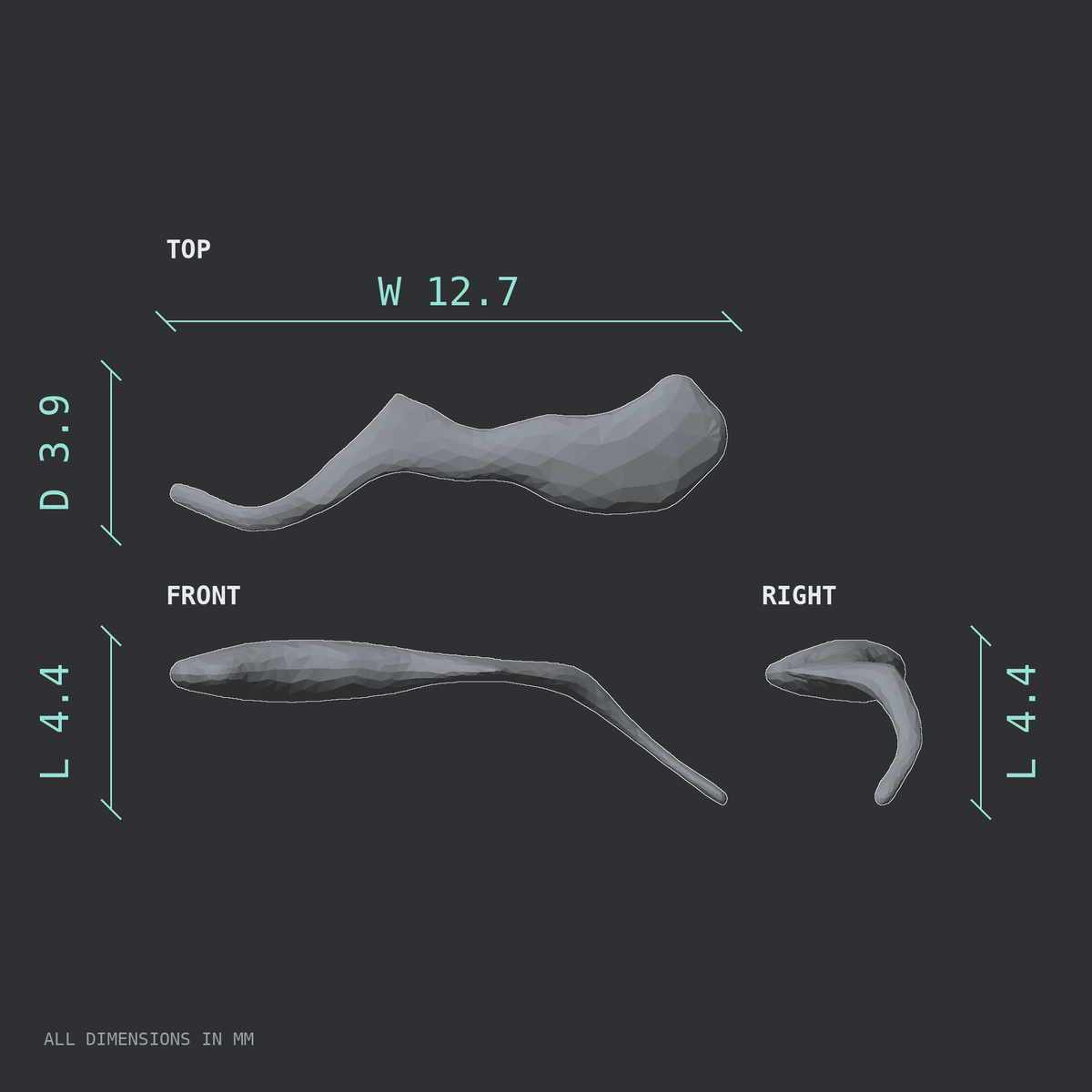 3D rendered dimensional drawing of the Right malleus (middle ear ossicle), top, front, and side views.